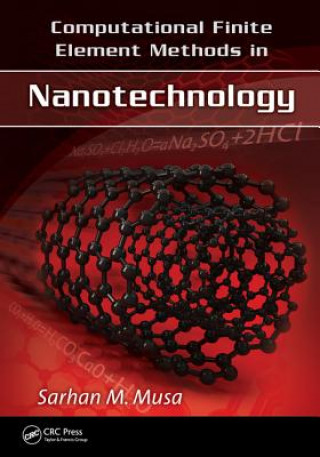 Kniha Computational Finite Element Methods in Nanotechnology 