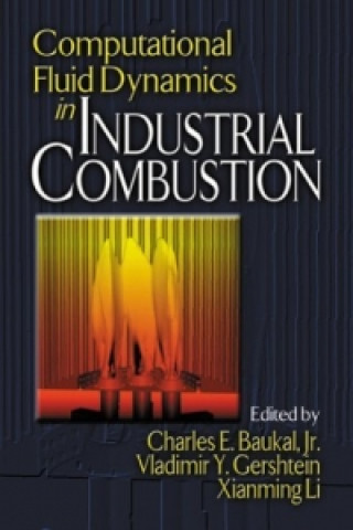 Könyv Computational Fluid Dynamics in Industrial Combustion 