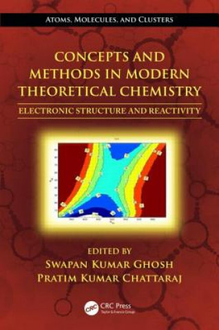 Buch Concepts and Methods in Modern Theoretical Chemistry 