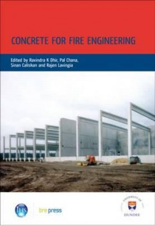 Książka Concrete for Fire Engineering Rajen Lavingia