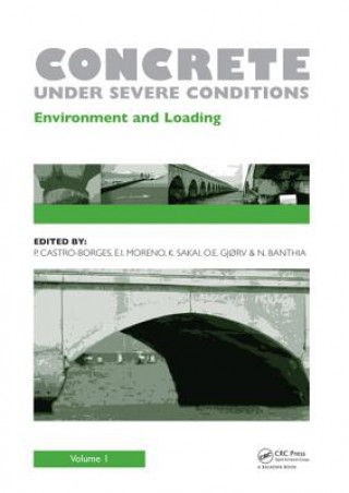 Kniha Concrete Under Severe Conditions, Two Volume Set Pedro Castro-Borges