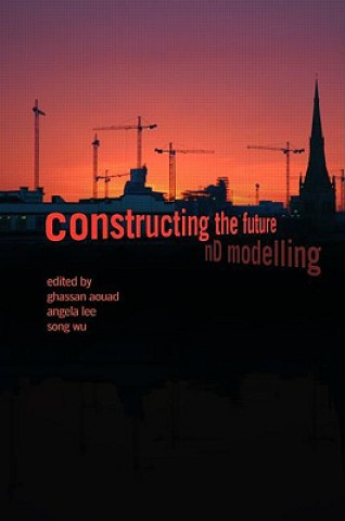 Kniha Constructing the Future Song Wu