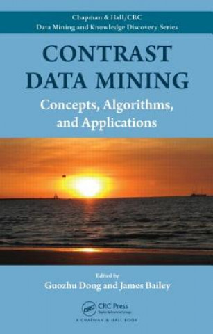 Buch Contrast Data Mining 