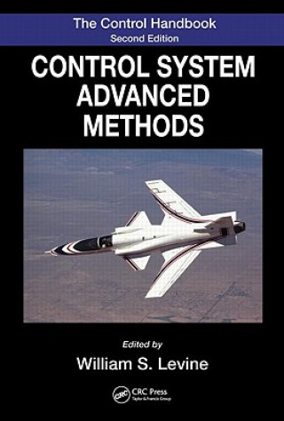 Kniha Control Systems Handbook 