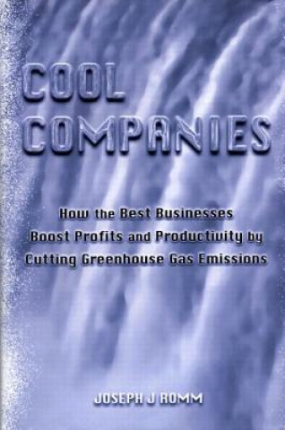 Könyv Cool Companies Joseph J. Romm