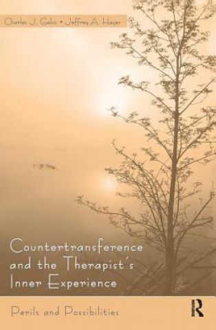 Könyv Countertransference and the Therapist's Inner Experience Jeffrey Hayes