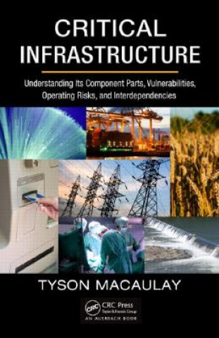 Книга Critical Infrastructure Tyson Macaulay