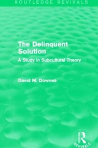 Kniha Delinquent Solution (Routledge Revivals) David Downes