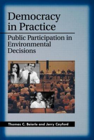 Könyv Democracy in Practice Jerry Cayford