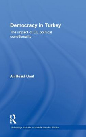 Книга Democracy in Turkey Ali Resul Usul