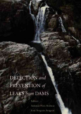 Könyv Detection and the Prevention of Leaks from Dams L. Araguas