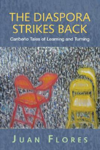 Buch Diaspora Strikes Back Juan Flores