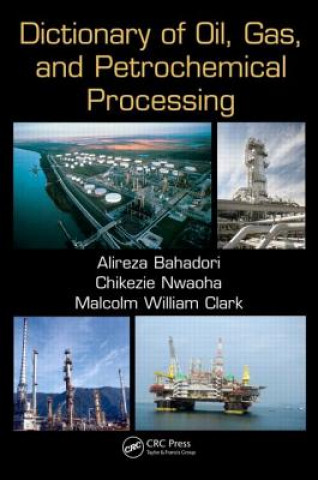 Könyv Dictionary of Oil, Gas, and Petrochemical Processing Malcolm William Clark