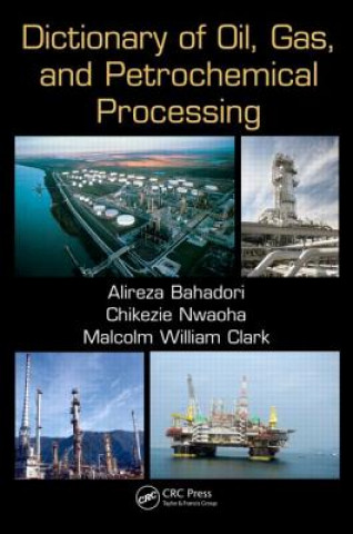 Knjiga Dictionary of Oil, Gas, and Petrochemical Processing Malcolm William Clark