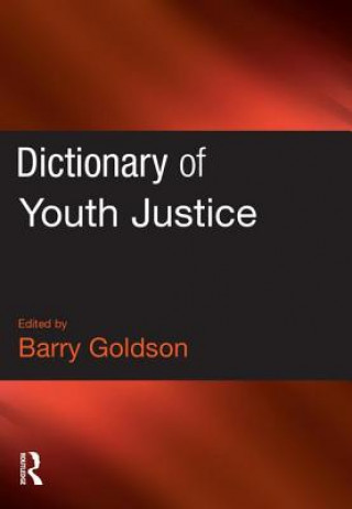Carte Dictionary of Youth Justice Barry Goldson
