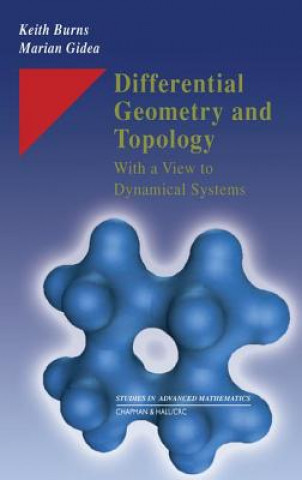 Kniha Differential Geometry and Topology Marian Gidea