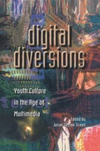Kniha Digital Diversions 