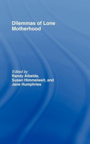 Kniha Dilemmas of Lone Motherhood 