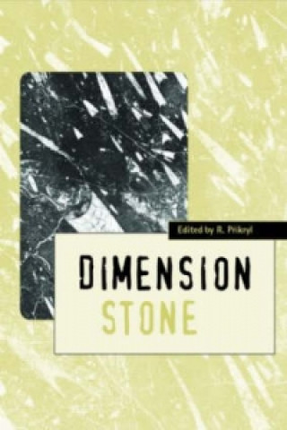 Книга Dimension Stone 2004 - New Perspectives for a Traditional Building Material R. Prikryl