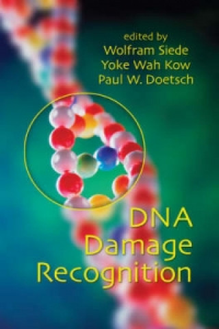 Kniha DNA Damage Recognition 