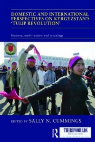Könyv Domestic and International Perspectives on Kyrgyzstan's 'Tulip Revolution' Sally Cummings