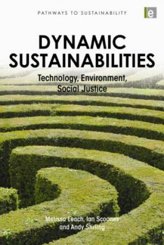 Книга Dynamic Sustainabilities 