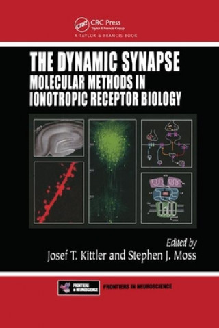 Knjiga Dynamic Synapse Josef T. Kittler