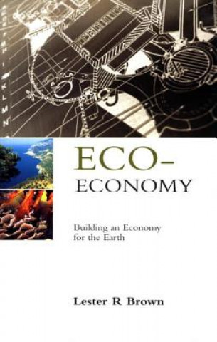 Kniha Eco-Economy Lester R. Brown