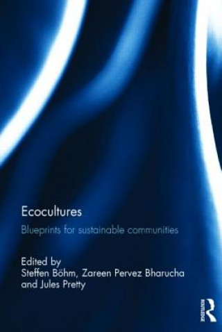 Boek Ecocultures Steffen Böhm