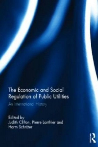 Könyv Economic and Social Regulation of Public Utilities 