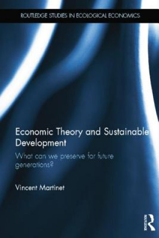 Knjiga Economic Theory and Sustainable Development Vincent Martinet