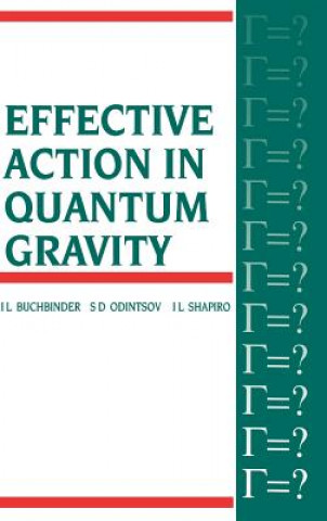 Buch Effective Action in Quantum Gravity I. L. Shapiro