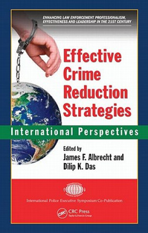 Kniha Effective Crime Reduction Strategies 