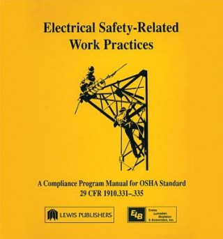 Książka Electrical Safety-Related Work Practices Richard Ennis
