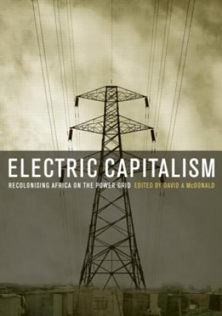 Könyv Electric Capitalism David A. Mcdonald