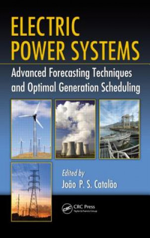 Könyv Electric Power Systems Jo?o P. S. Catal?o