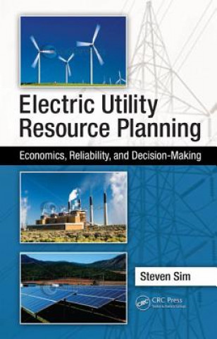 Kniha Electric Utility Resource Planning Steven Sim