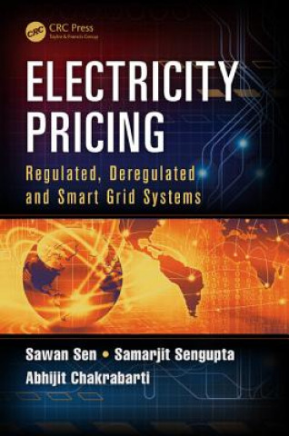 Könyv Electricity Pricing Abhijit Chakrabarti