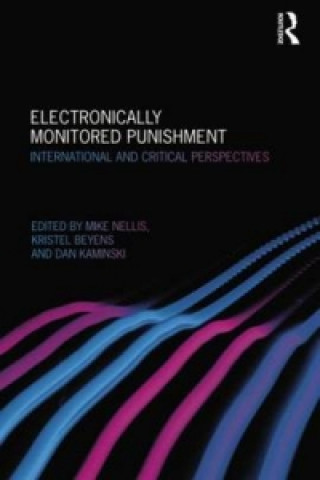 Kniha Electronically Monitored Punishment 