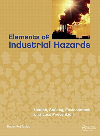 Knjiga Elements of Industrial Hazards Ratan Raj Tatiya