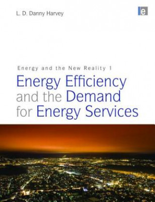 Buch Energy and the New Reality 1 L. D. Danny Harvey