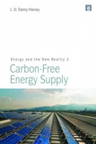 Buch Energy and the New Reality 2 L. D. Danny Harvey