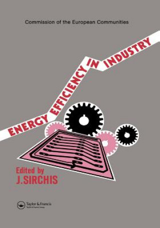 Kniha Energy Efficiency in Industry J. Sirchis