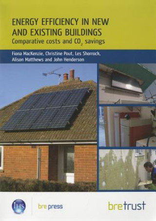 Buch Energy Efficiency in New and Existing Buildings L.D. Shorrock