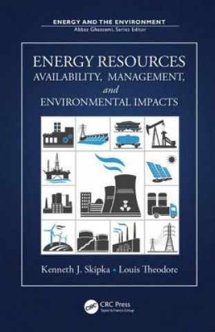 Kniha Energy Resources Louis Theodore