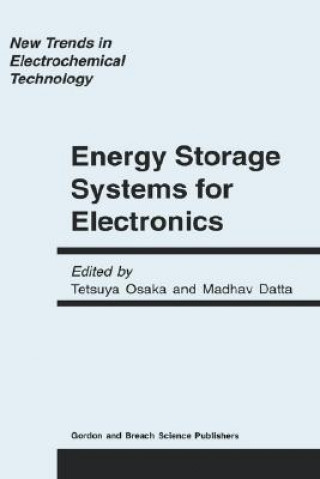 Kniha Energy Storage Systems in Electronics 