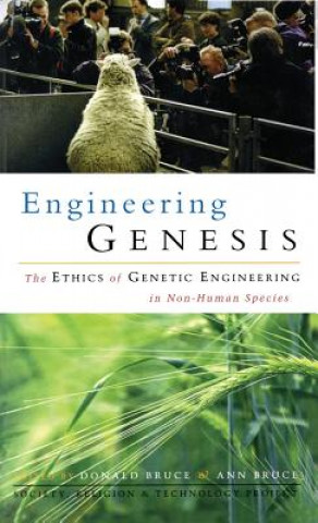 Kniha Engineering Genesis 