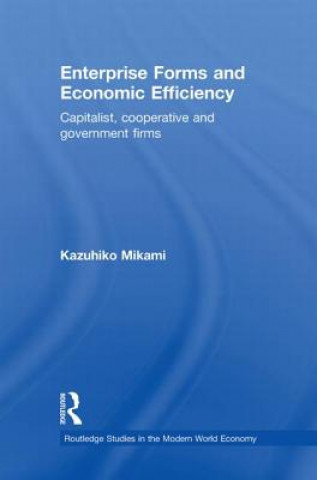 Könyv Enterprise Forms and Economic Efficiency Kazuhiko Mikami