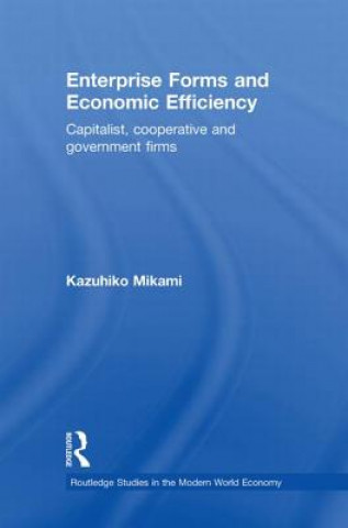 Kniha Enterprise Forms and Economic Efficiency Kazuhiko Mikami