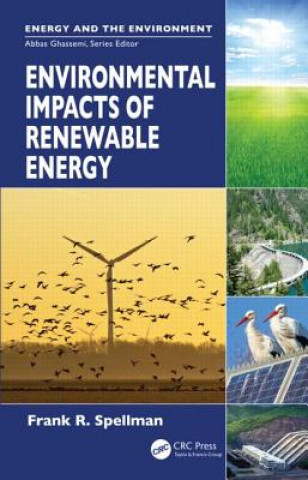 Könyv Environmental Impacts of Renewable Energy Frank R. Spellman